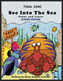 Sea Into The Sea Junior Edition (Bigger Pictures for Smaller Fingers)